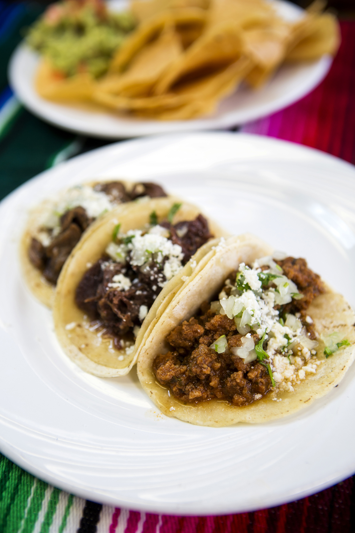 On the hunt for authentic tacos at Mr. Taco [225]