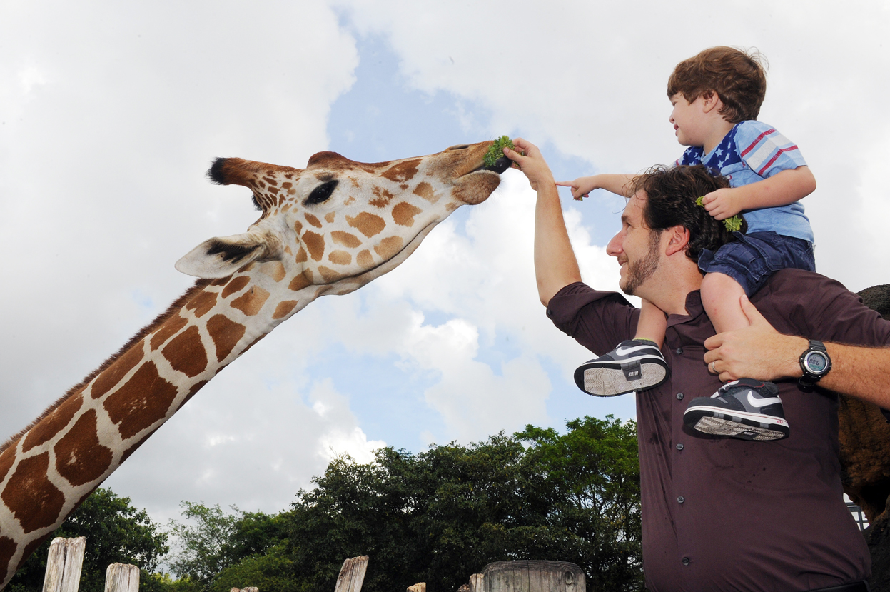 A new view of Baton Rouge Zoo [225]