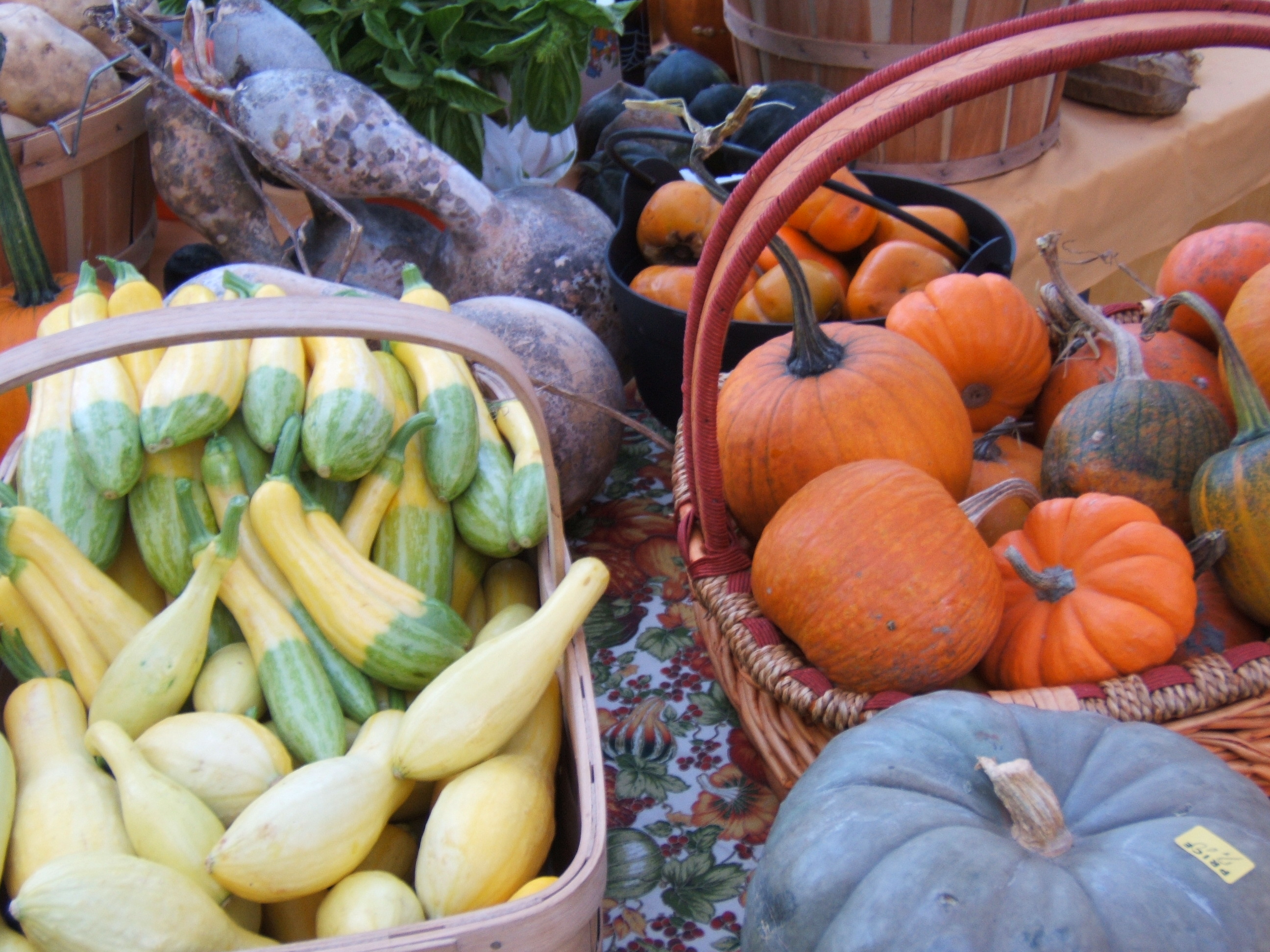 Fresh picks at the Baton Rouge farmers markets in October