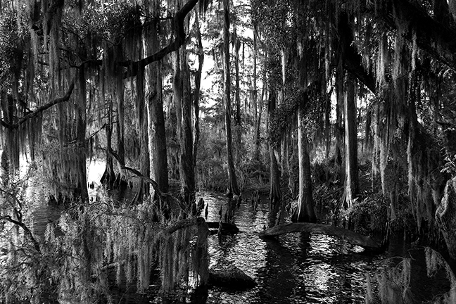 Picture This: Chelsea Caldwell's 'Dear Louisiana' series - [225]