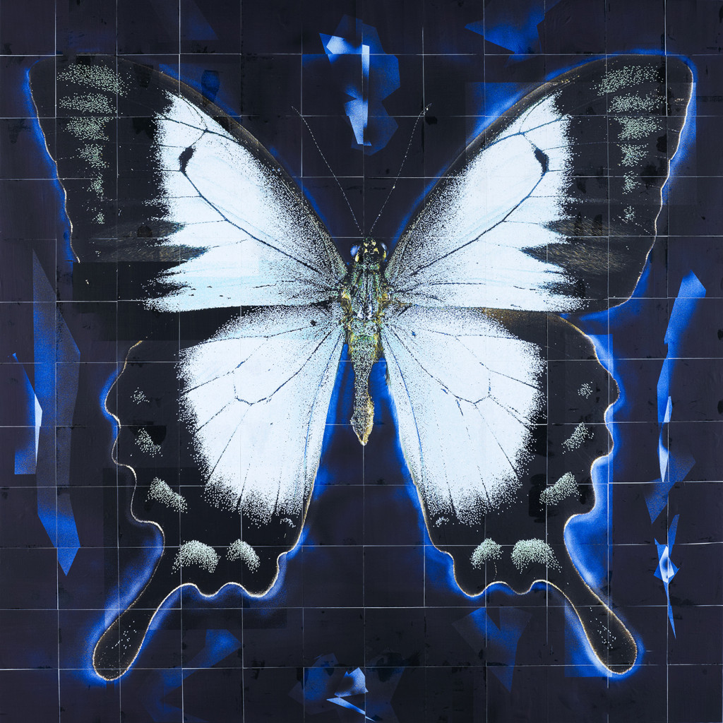 An image from the “Flutterby: Butterfly” exhibit at the Louisiana Art & Science Museum