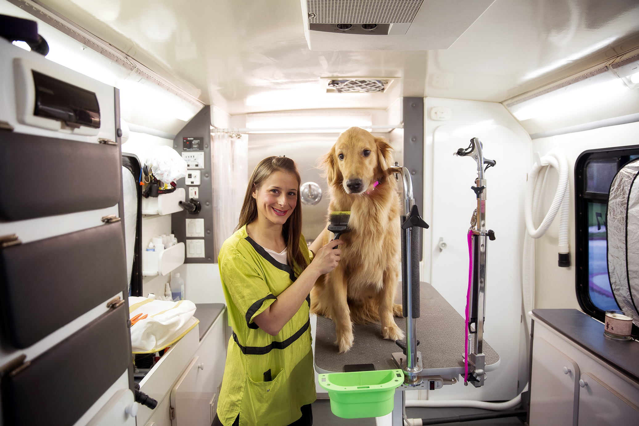 Modern pet care is more personalized than ever