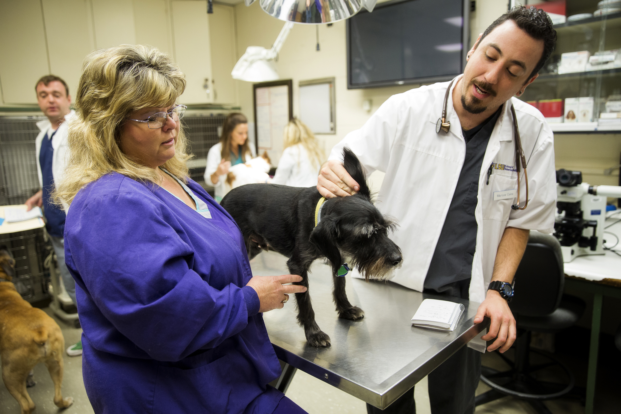 Get an inside look at LSU's School of Veterinary Medicine - [225]