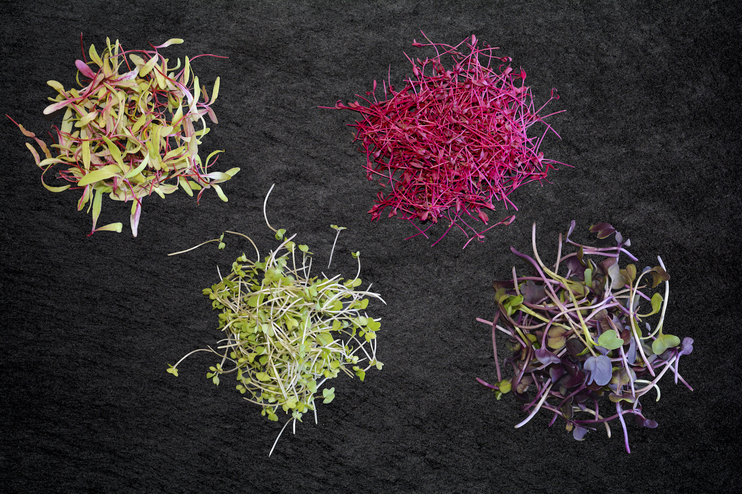 Top your dinner with colorful microgreens [225]