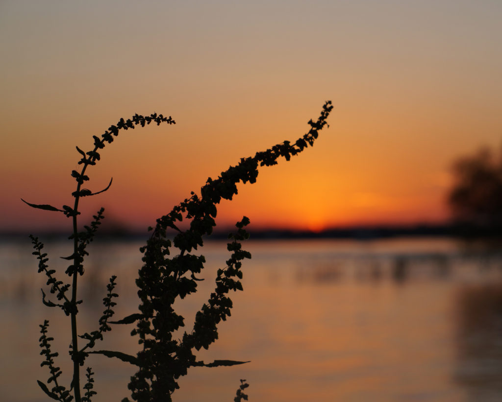 Student work from Futures Fund