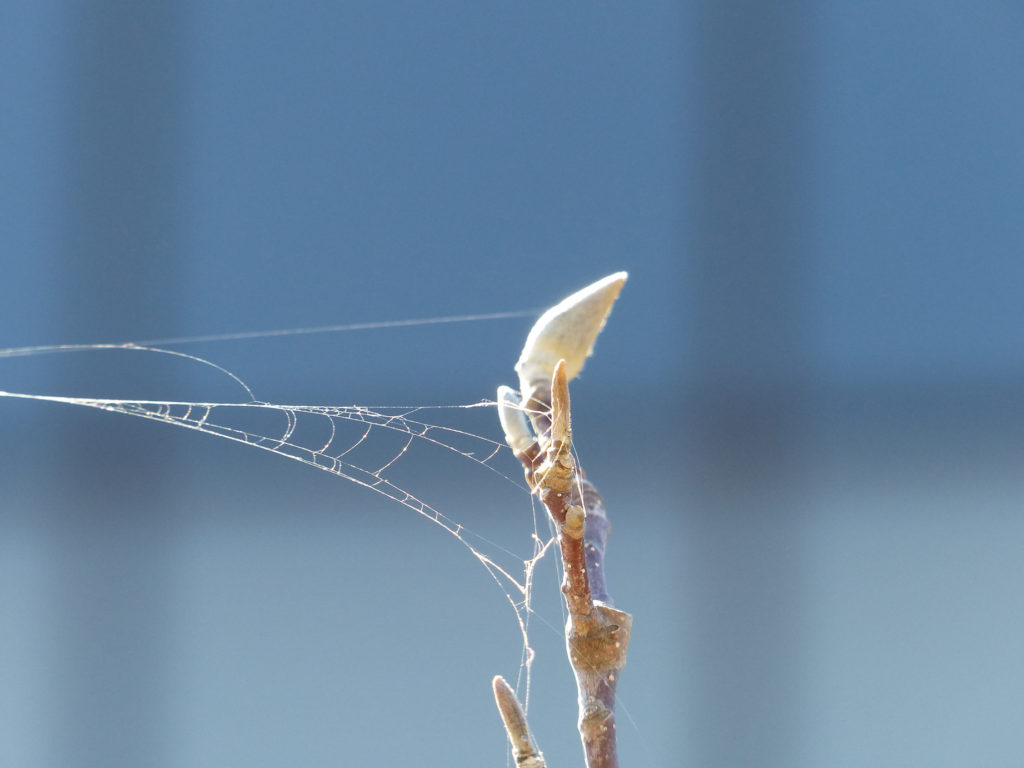 Student work from Futures Fund