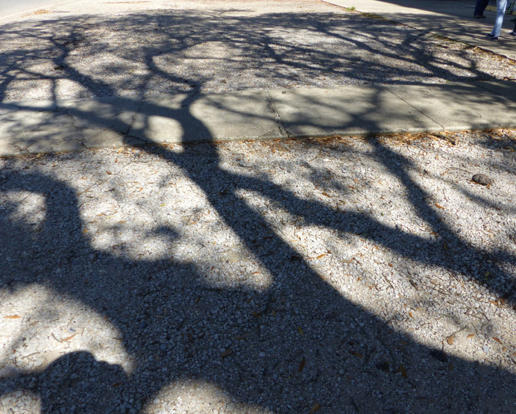 Student work from Futures Fund