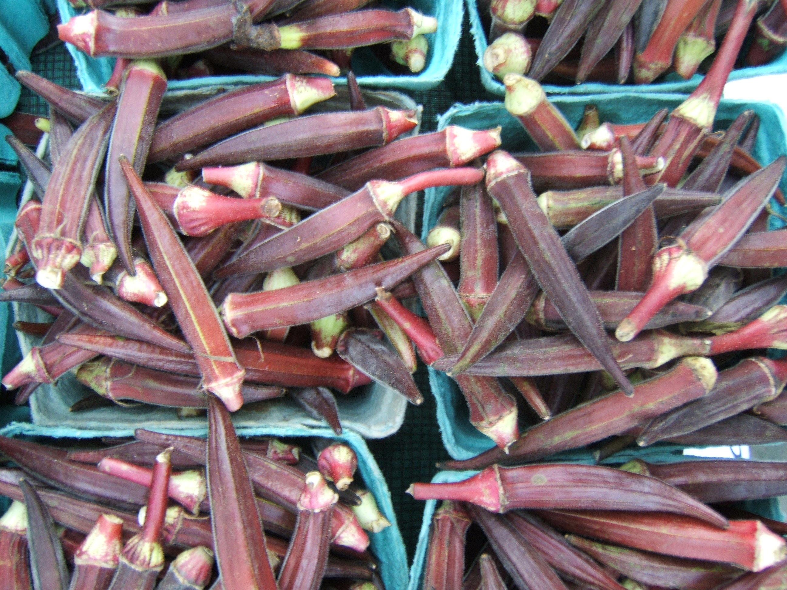 What’s fresh at the Baton Rouge farmers markets in August