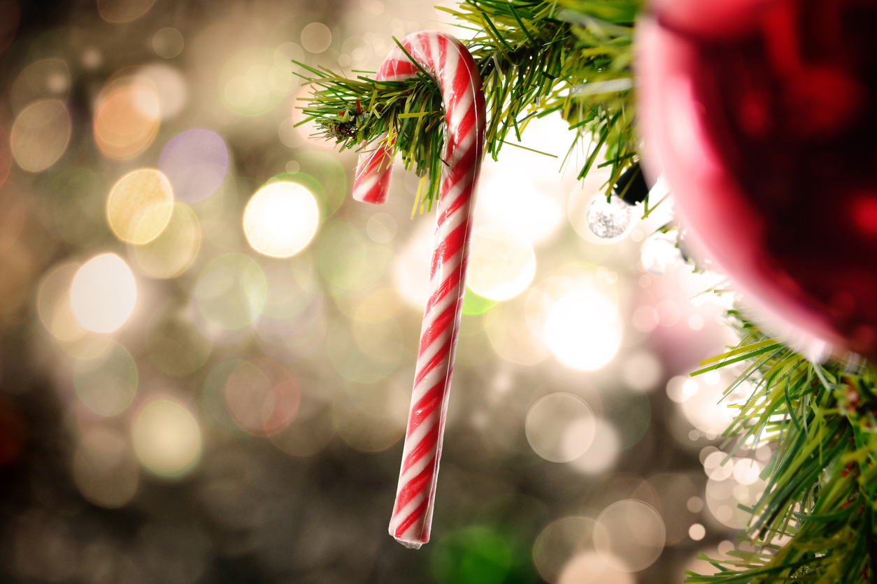 Edible ornaments for christmas tree