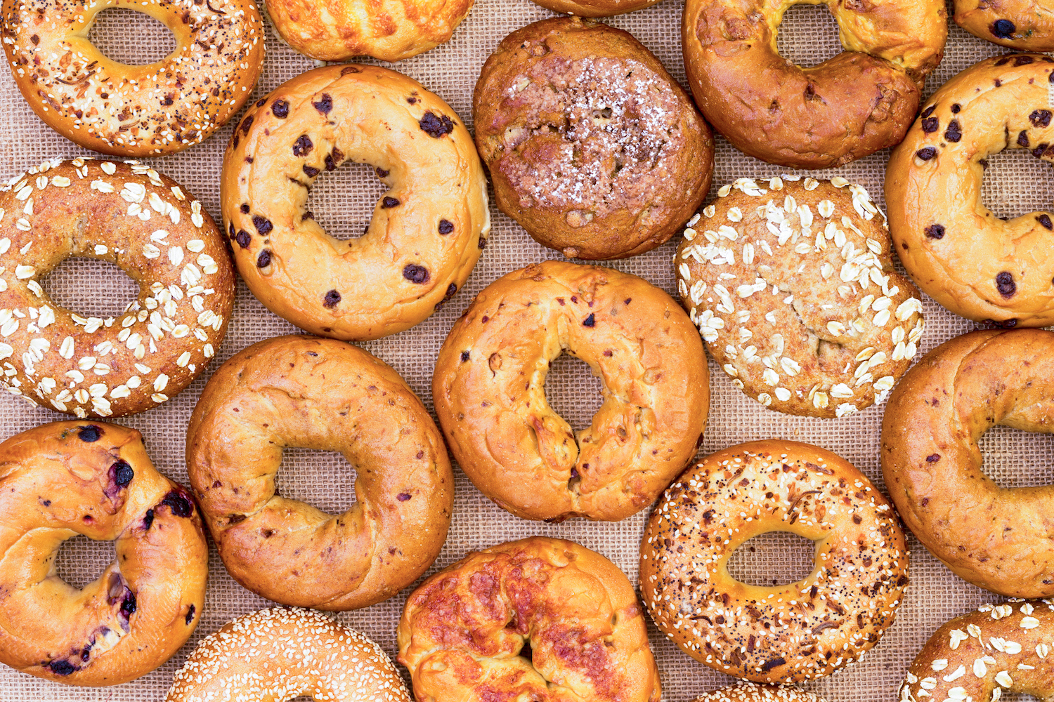 From ‘Daily Report’ NY Bagel Cafe & Deli opening first local location