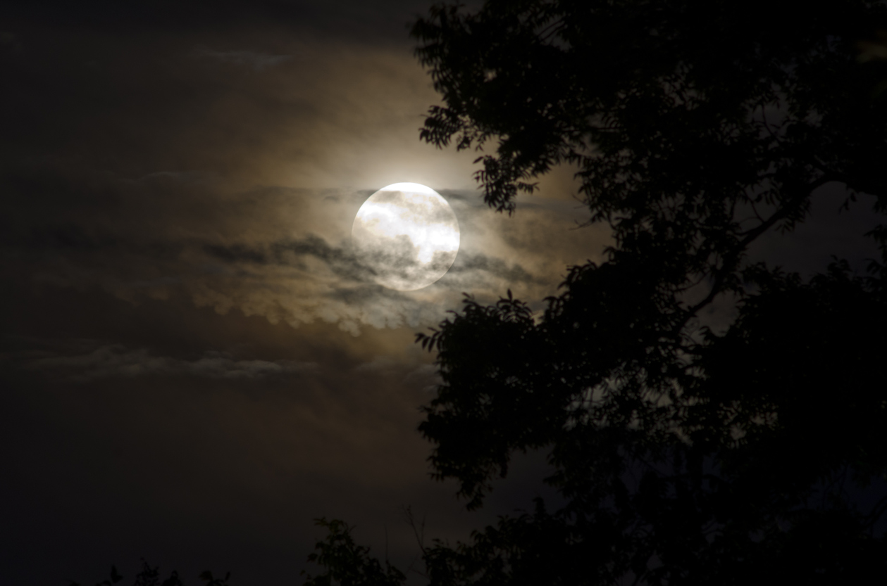 Picnic in the moonlight at Full Moon Feast at Capitol Park Museum Oct. 6