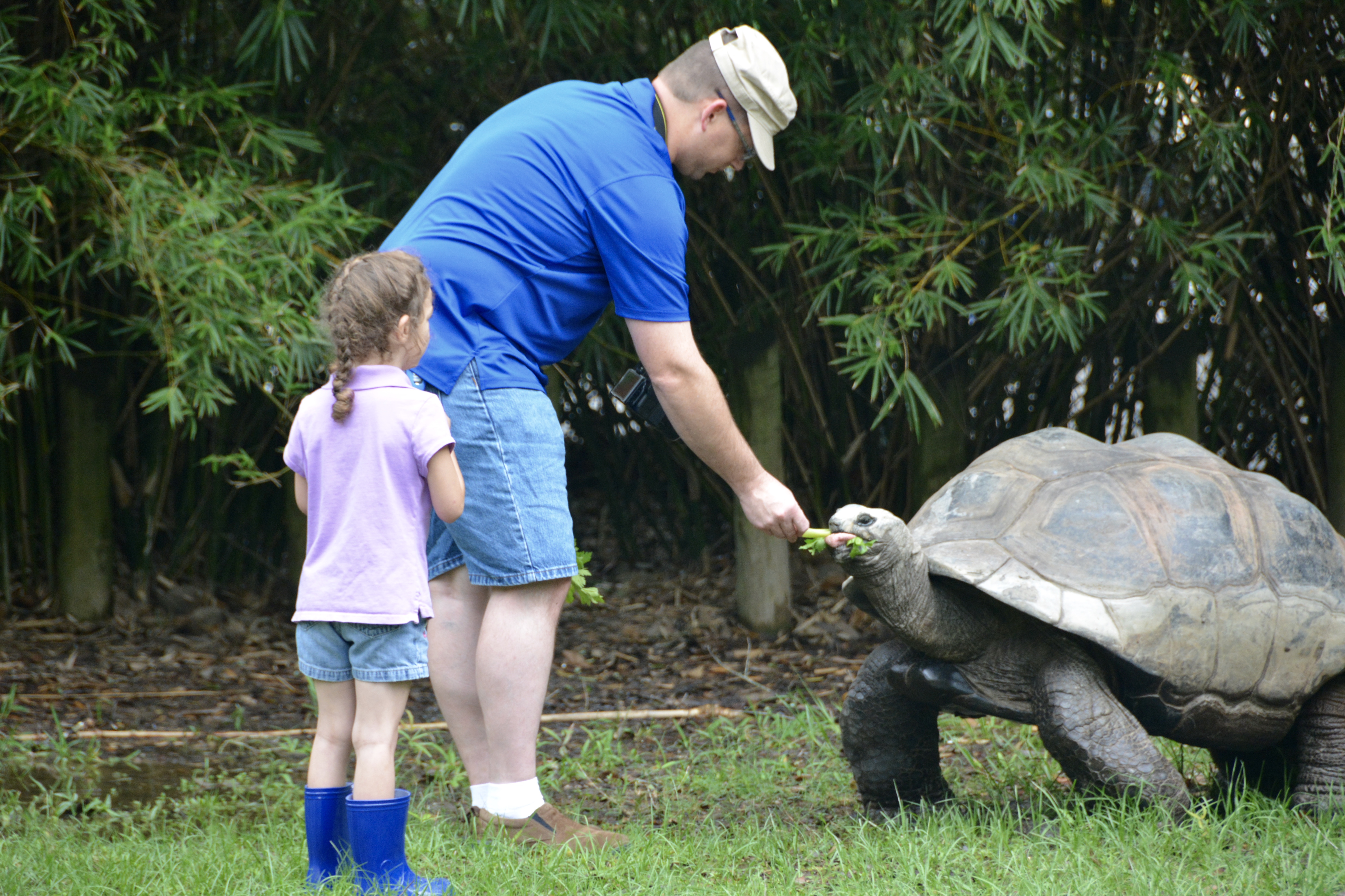 Teach your kids about the animal kingdom at Baton Rouge Zooâ€™s Tons of