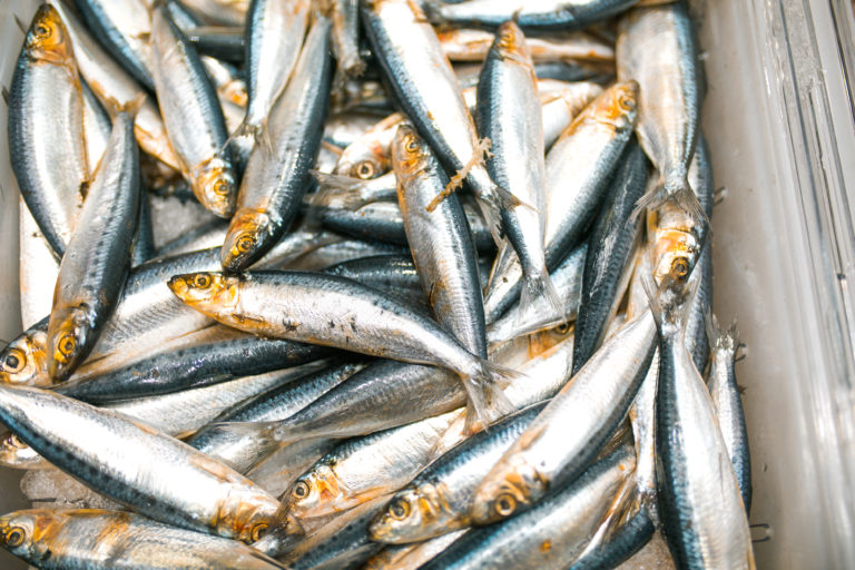 An insider’s look at the new Restaurant Depot Where restaurateurs do