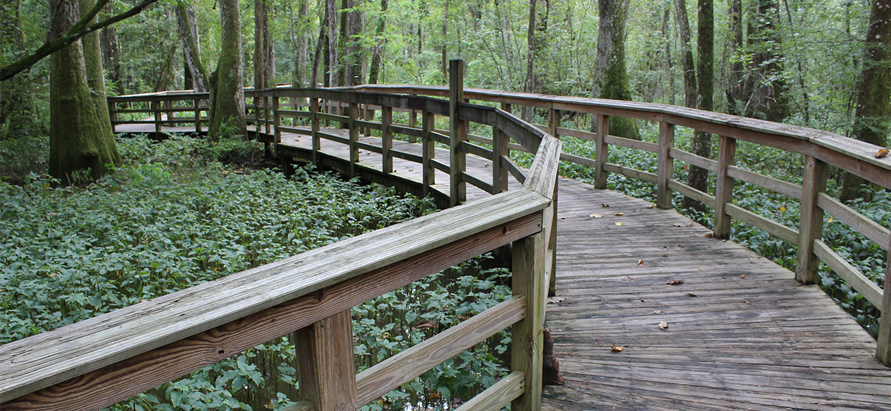 Local Hiking Trails