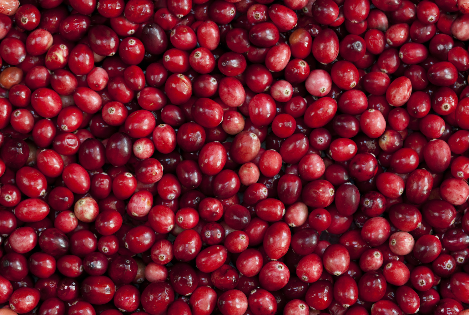 Spatula Diaries: Move over, pumpkin. Cranberries are one of fall’s most ...