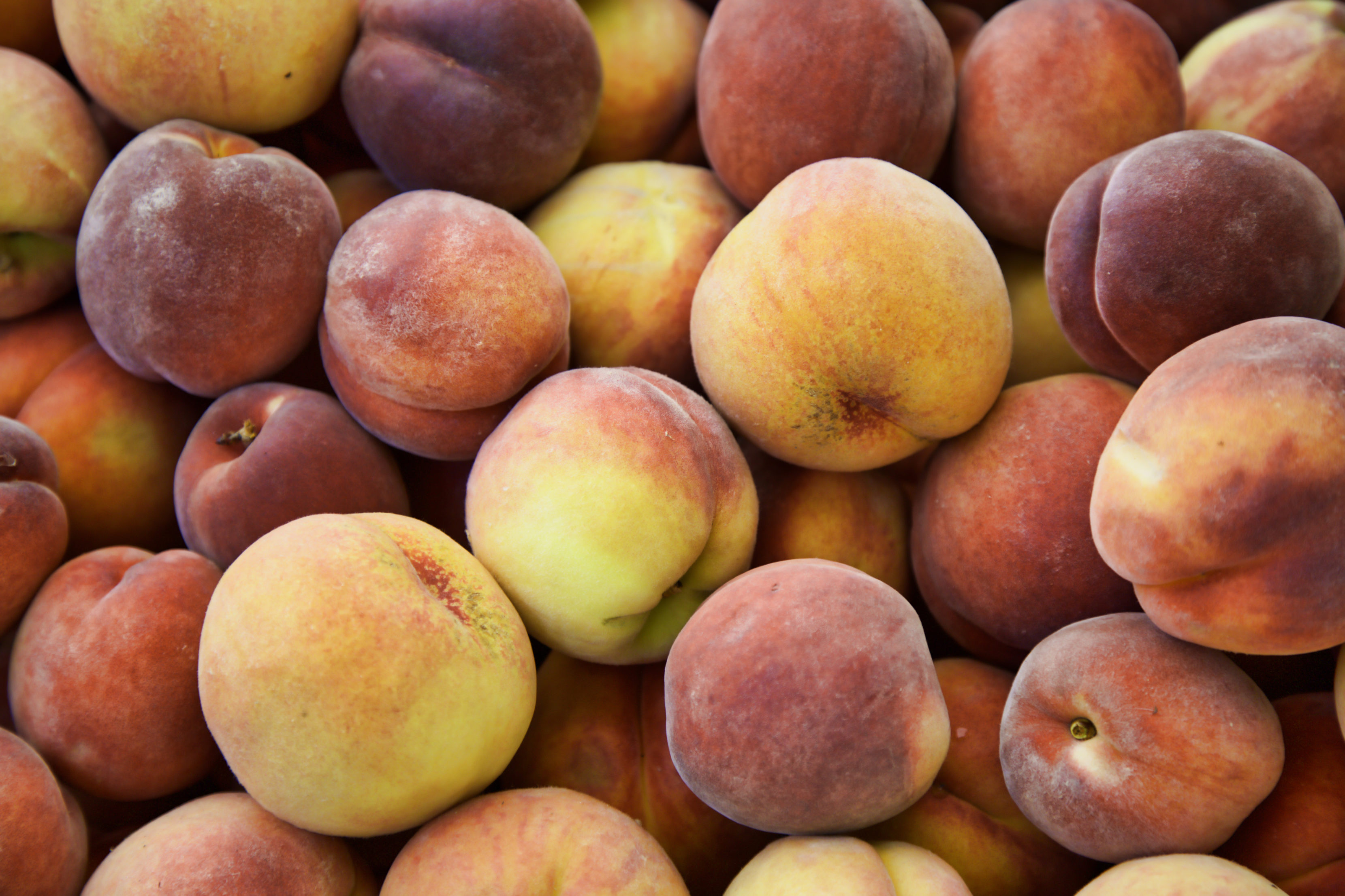 What’s fresh at the Baton Rouge farmers market in August