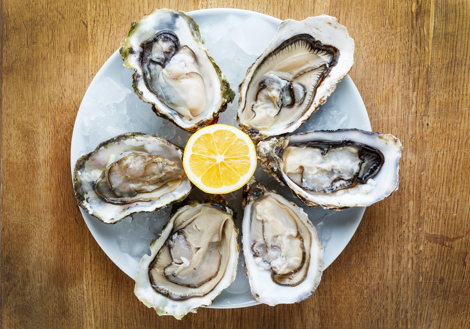 What to expect at this weekend’s Baton Rouge Oyster Festival