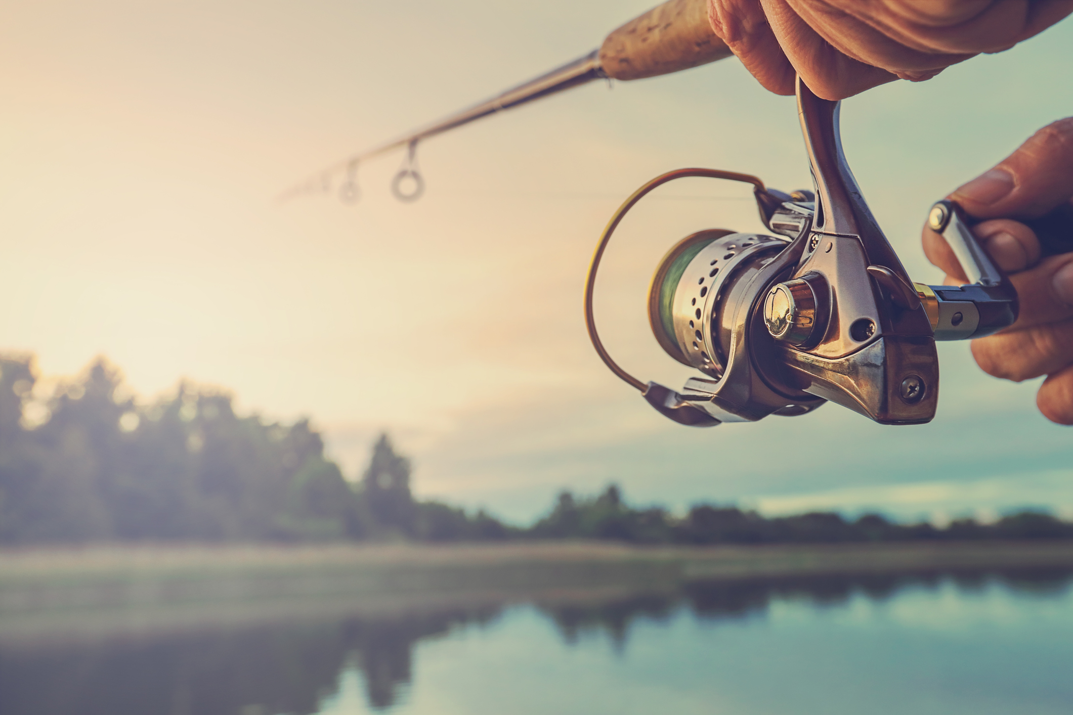 best-of-225-this-week-catfish-rodeo-herb-day-and-more-events-in-baton