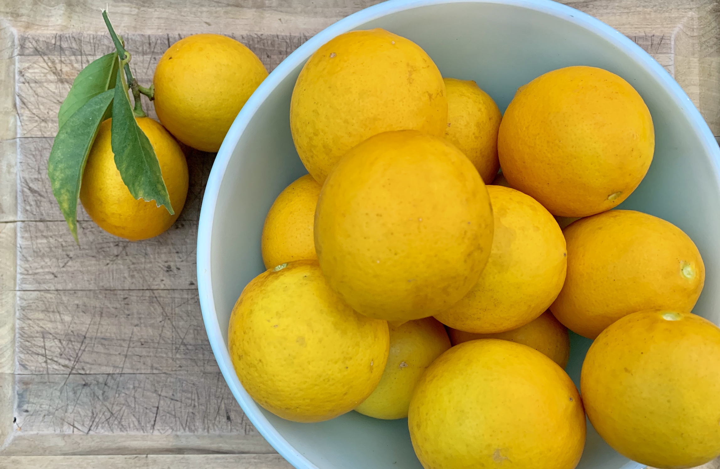 Spatula Diaries 5 ways to get creative with this year’s bumper citrus crop