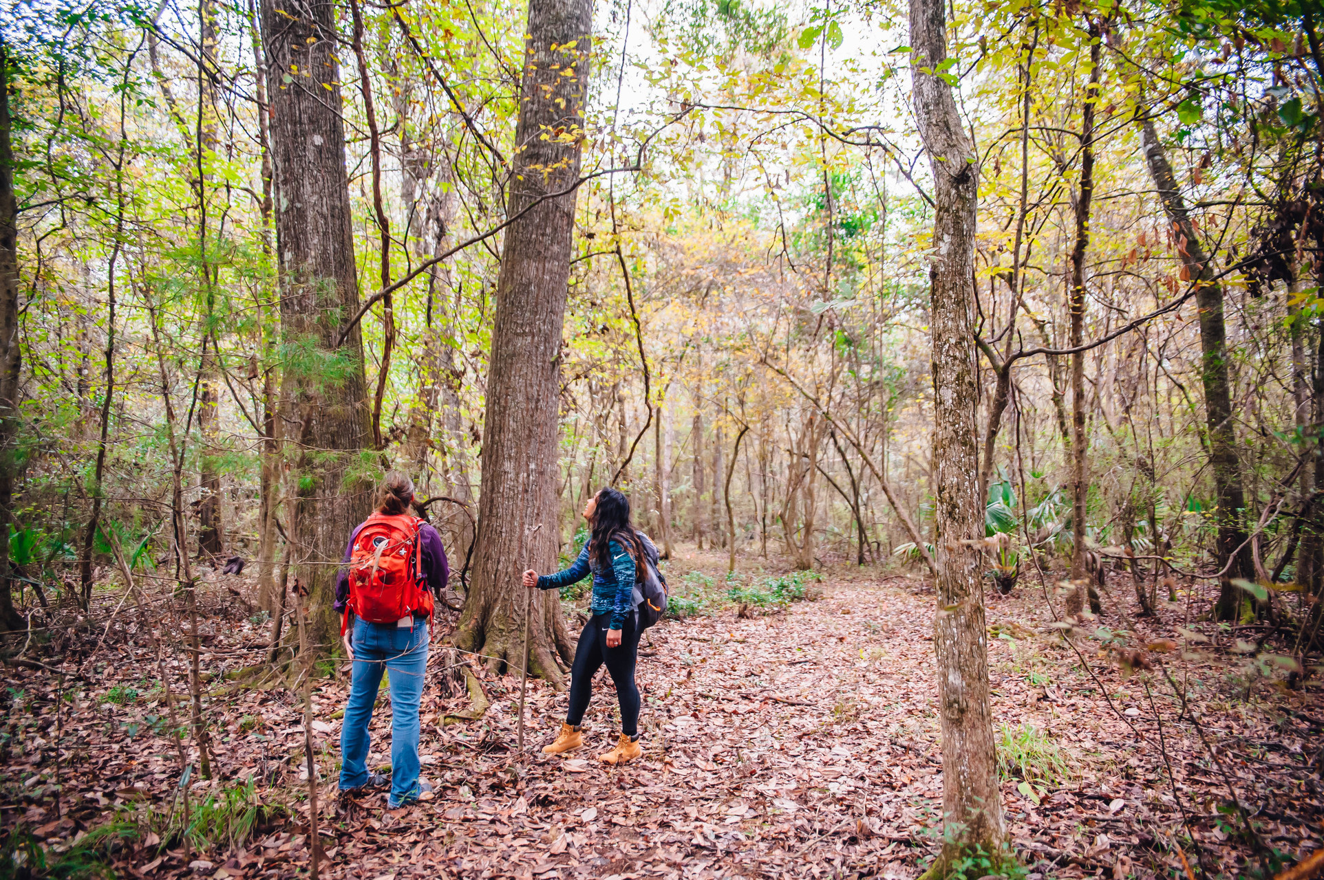 Frenchtown Road Conservation Area