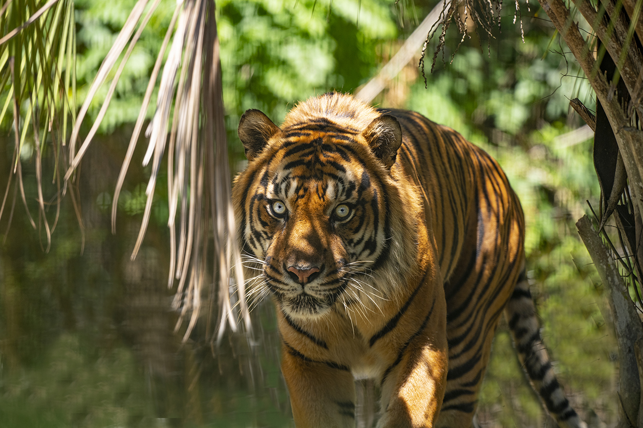 The Details, sponsored by BREC Zoo: We are open and excited to see you
