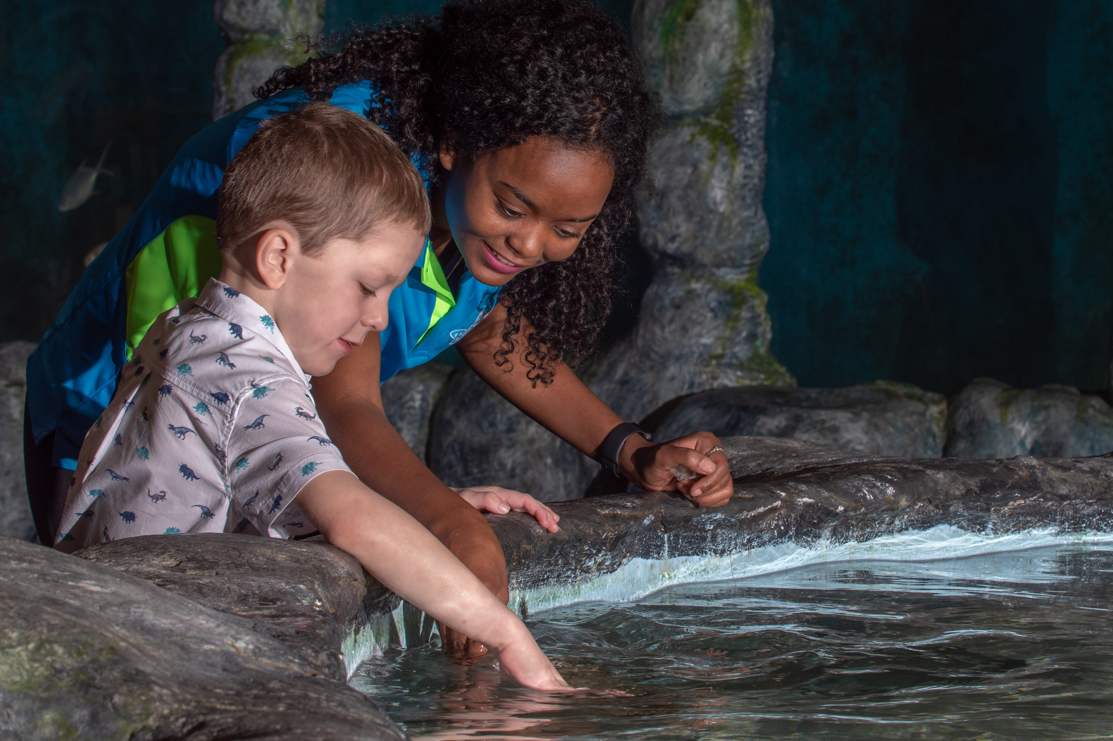 All the details on the new Blue Zoo aquarium, opening April 1 at the ... - P1222677 LR E1617128130698