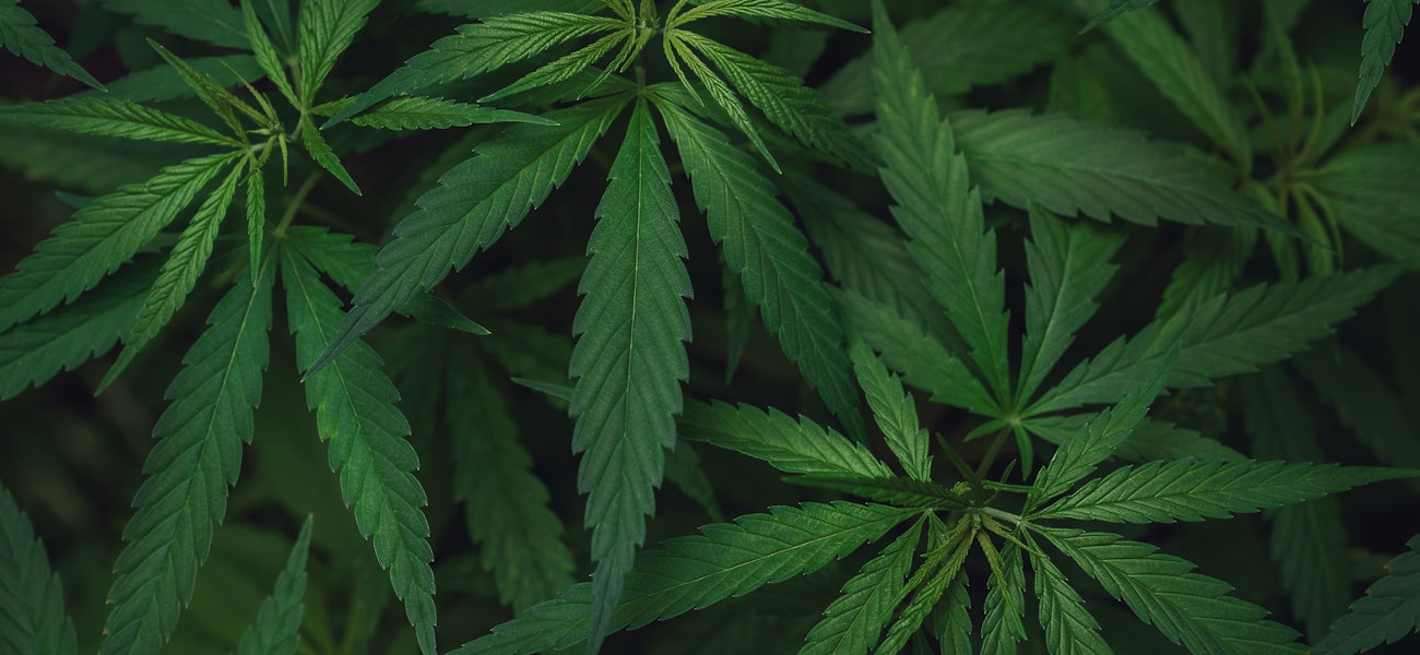 Louisiana House committee advances bill to legalize  Louisiana House committee advances bill to legalize