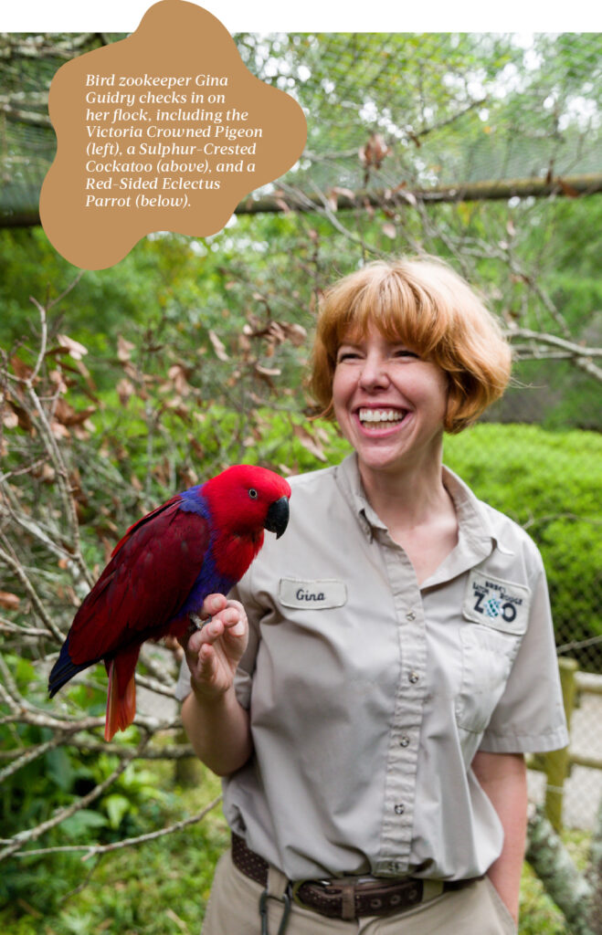 A Day In The Life Of A Zookeeper