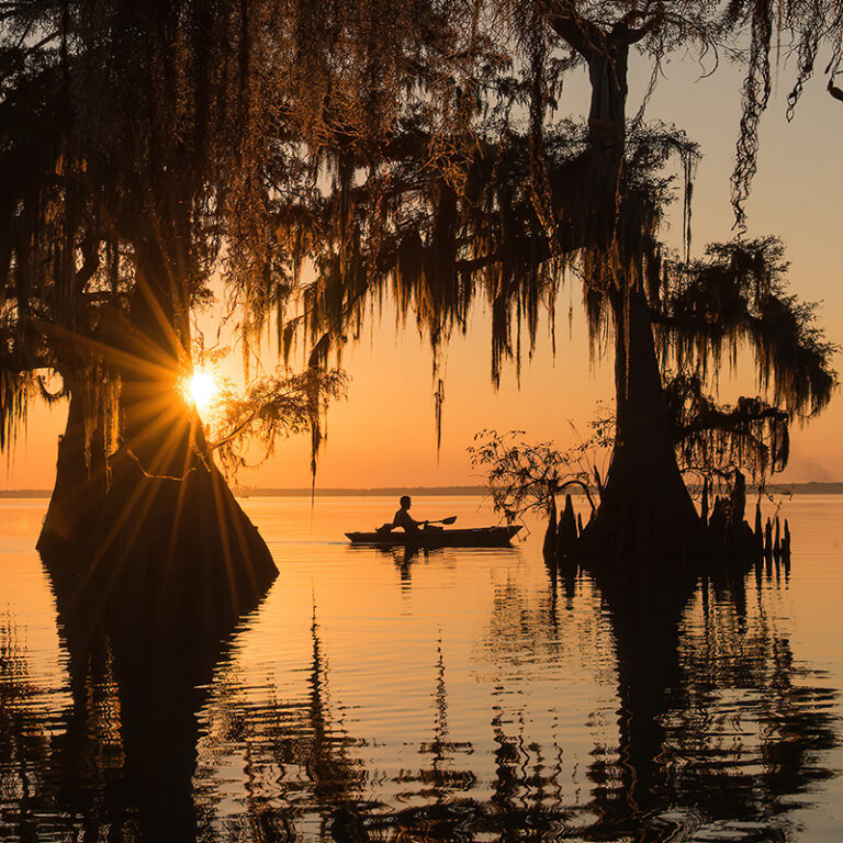 Tips on photographing Baton Rouge’s wildlife from C.C. Lockwood