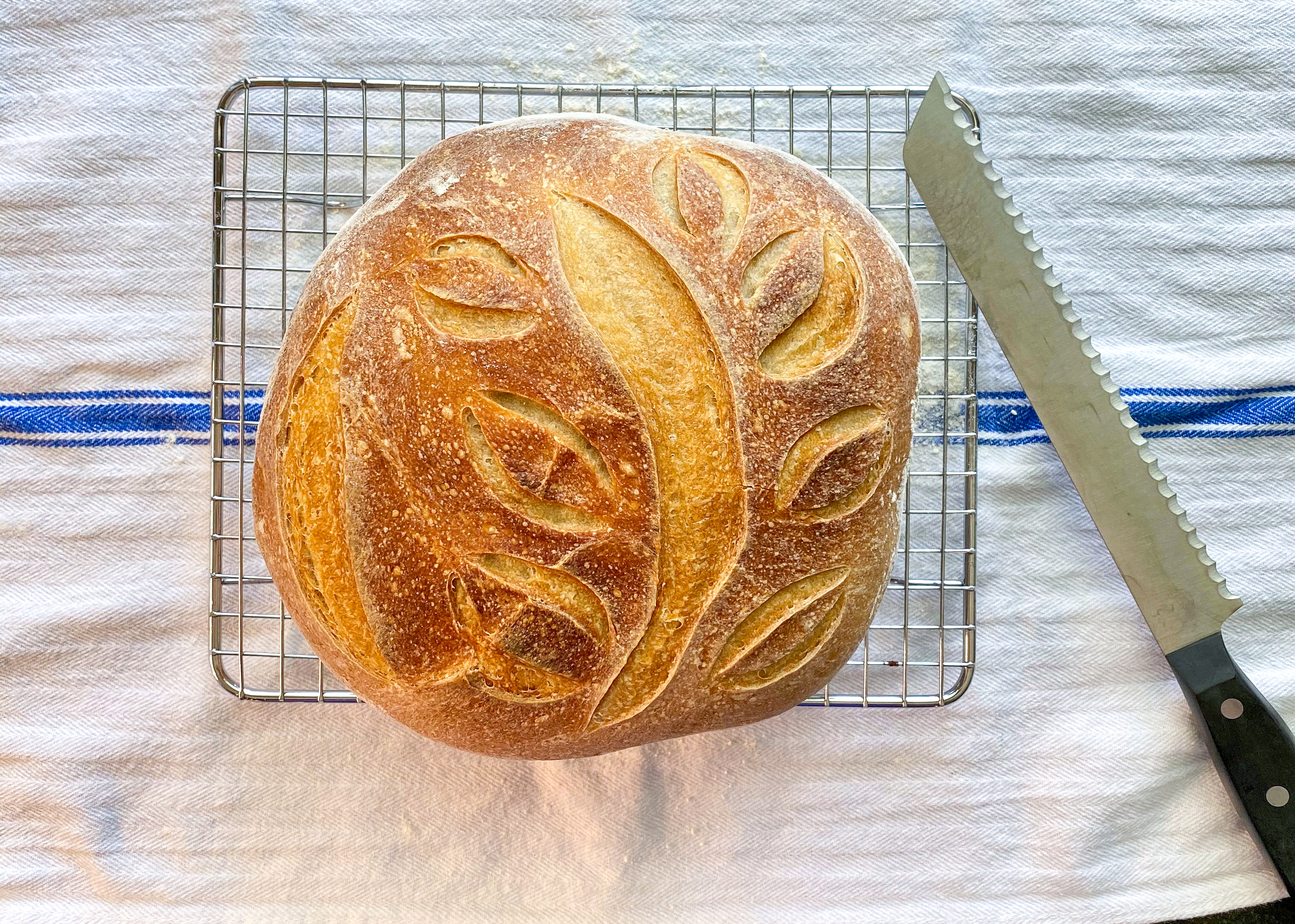 Ethel's Daughter: Quarantine Sourdough Bread Baking