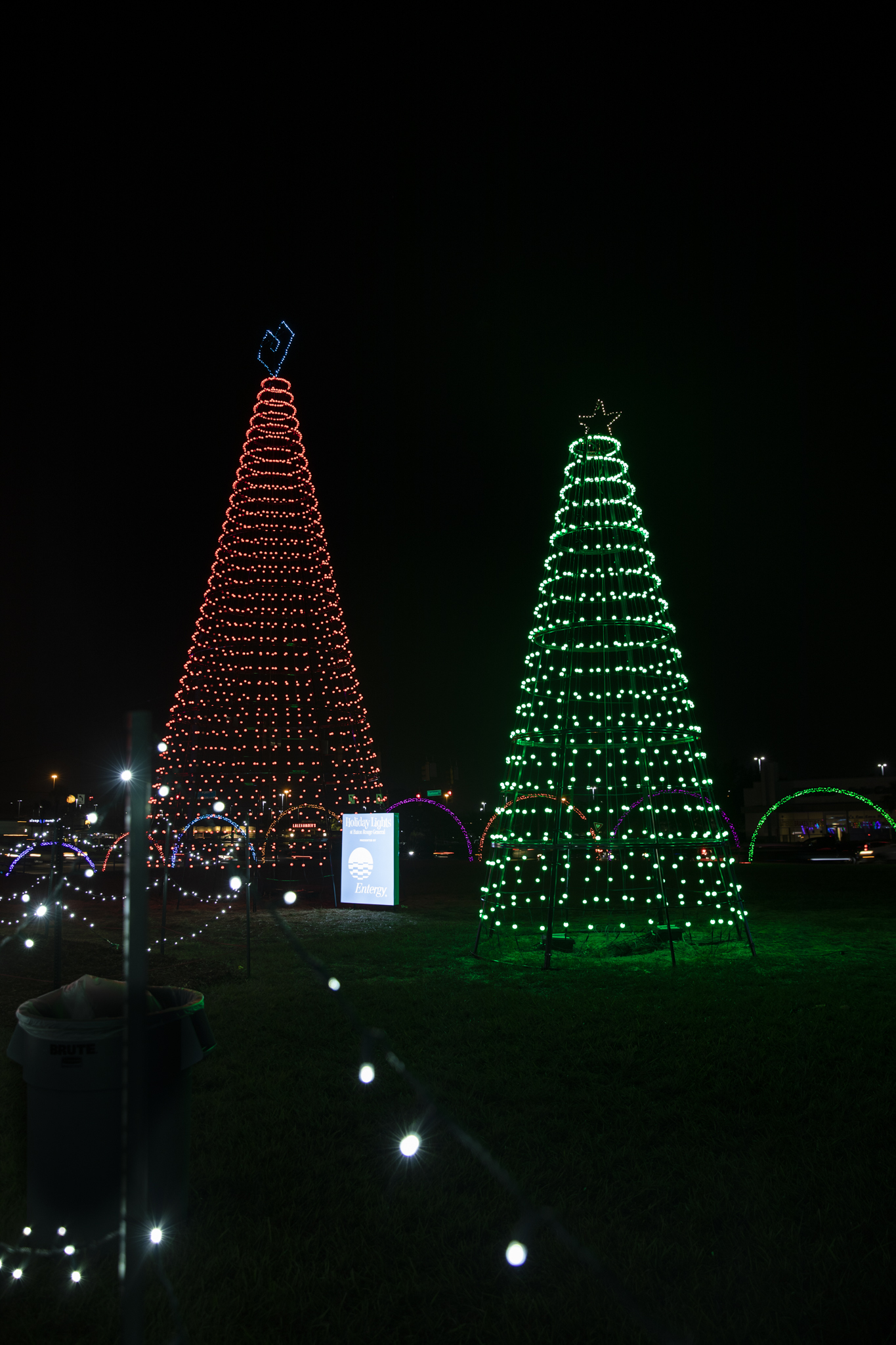 Baton Rouge Christmas Lights 2024 - Verna Jennette
