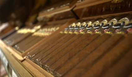 Row of Cigars scaled