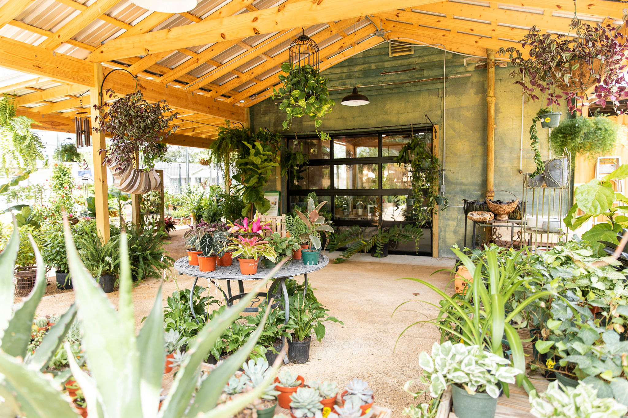 A look at D’s Garden Center, plus the other new businesses taking over the former Garden District Nursery