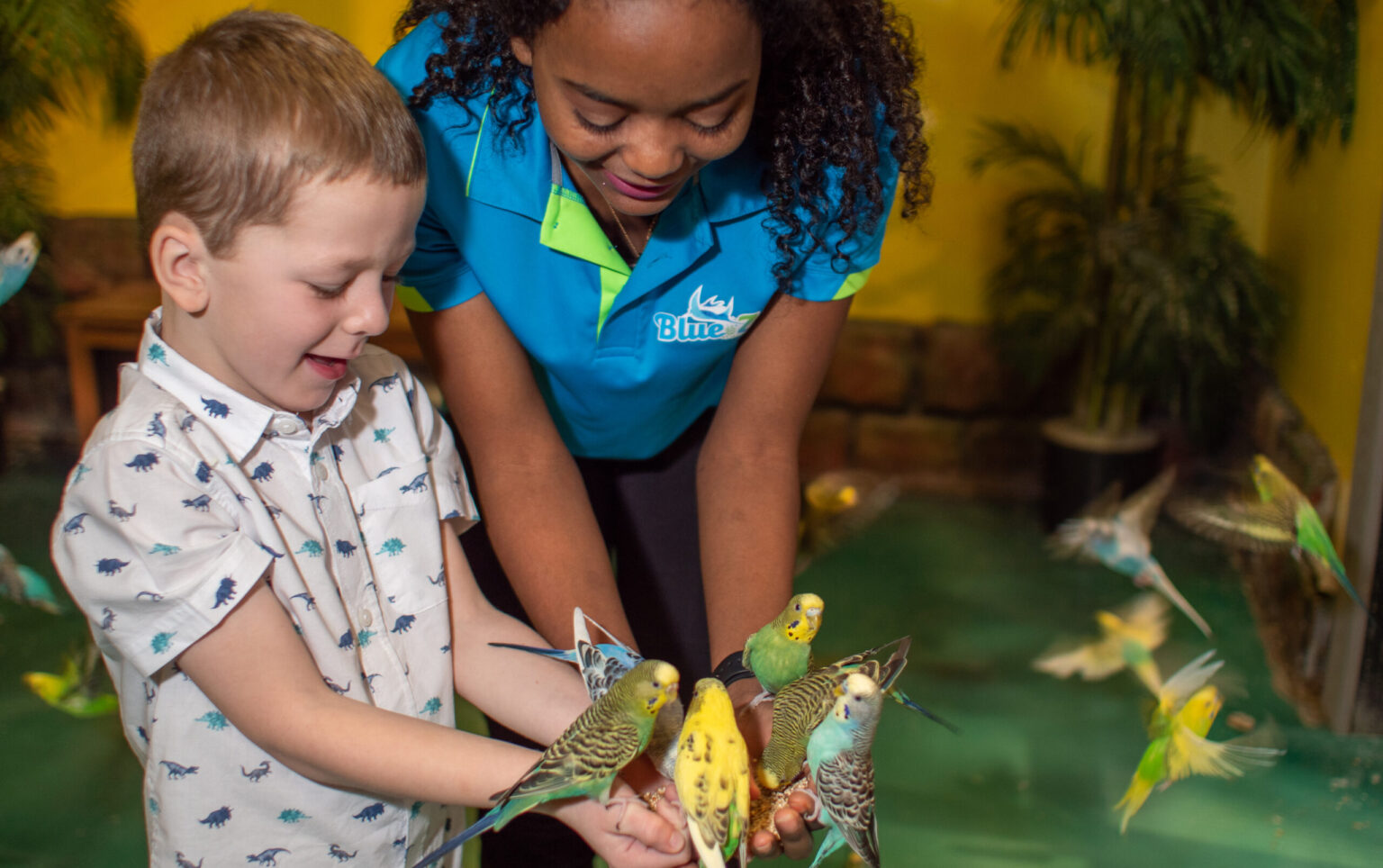 225 Insider's Guide Blue Zoo Baton Rouge [225]