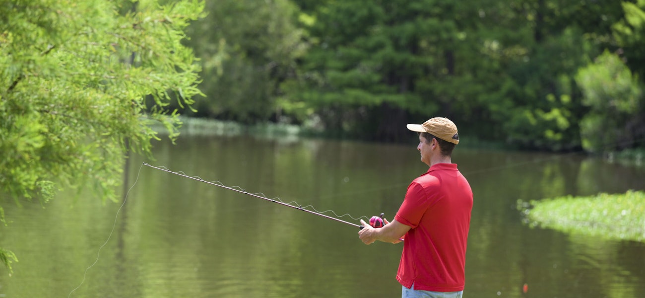 Free Things to Do in Baton Rouge: Uncover the Hidden Gems! 1 Free Things to Do in Baton Rouge: Uncover the Hidden Gems!