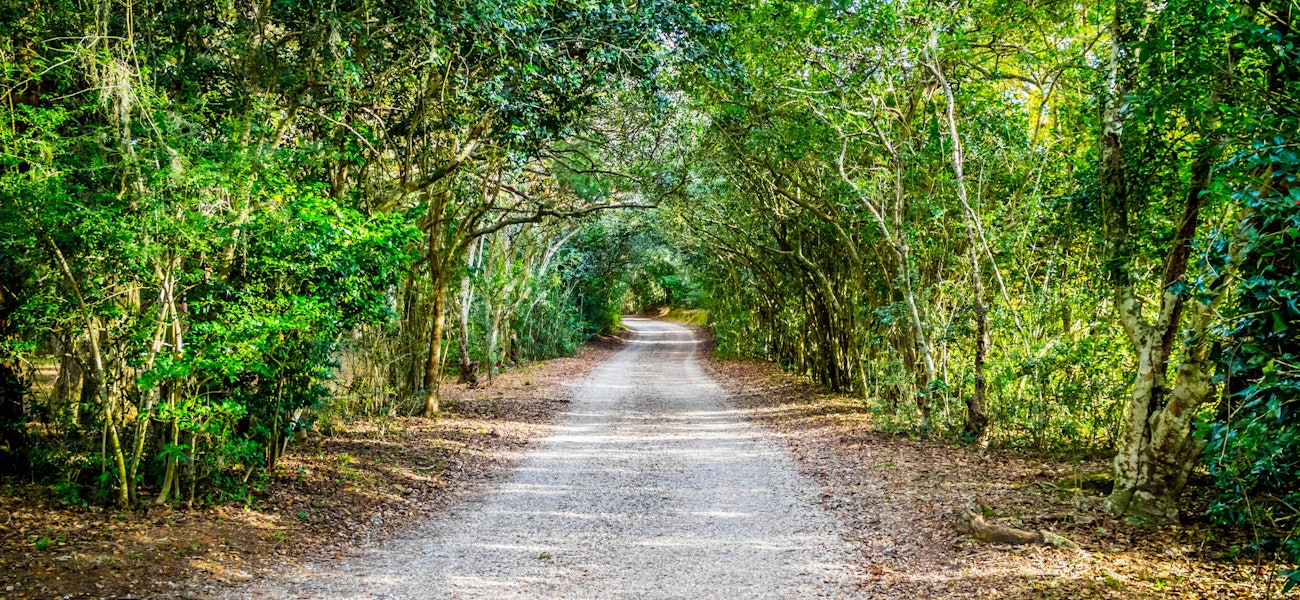Day Trips from Baton Rouge: Discover Top Nearby Adventures