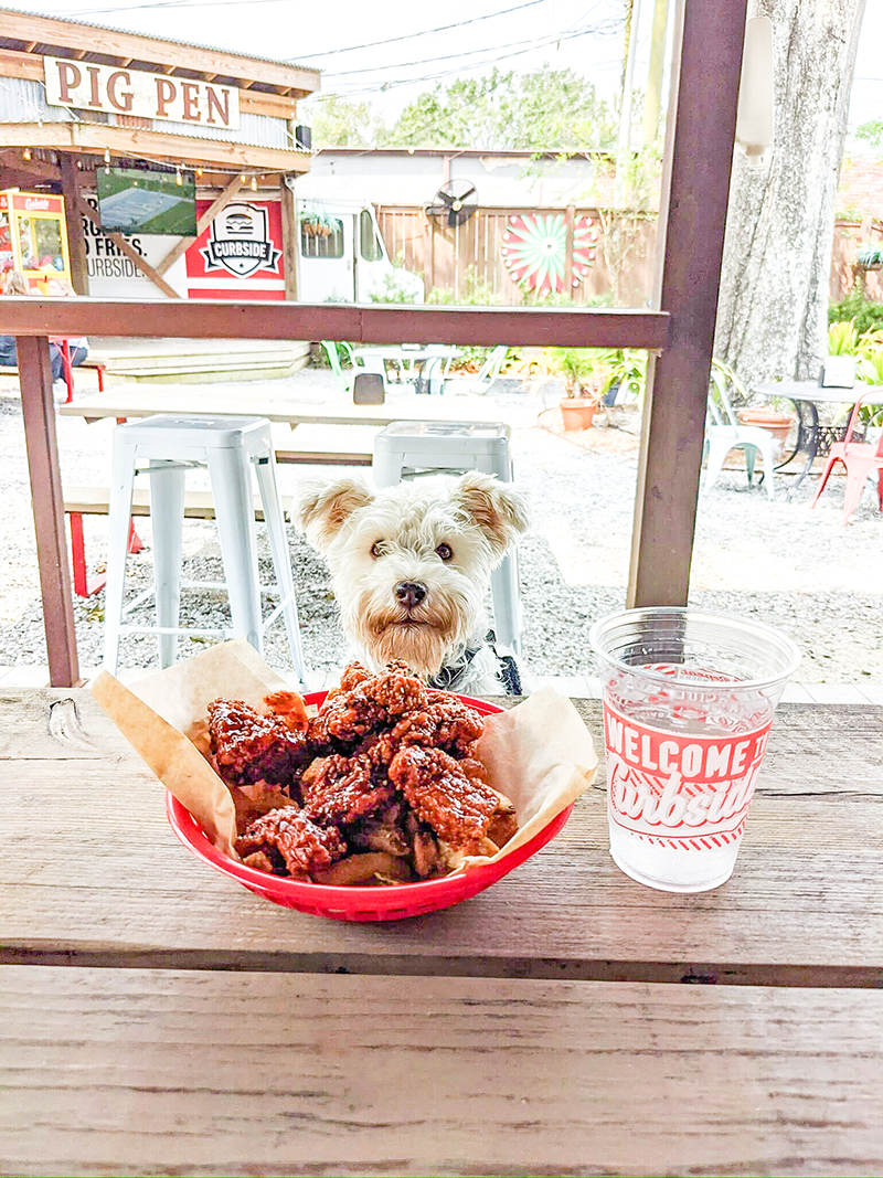 Toby sitting at a picnic table with wings and a cup of water at Curbside Burgers.