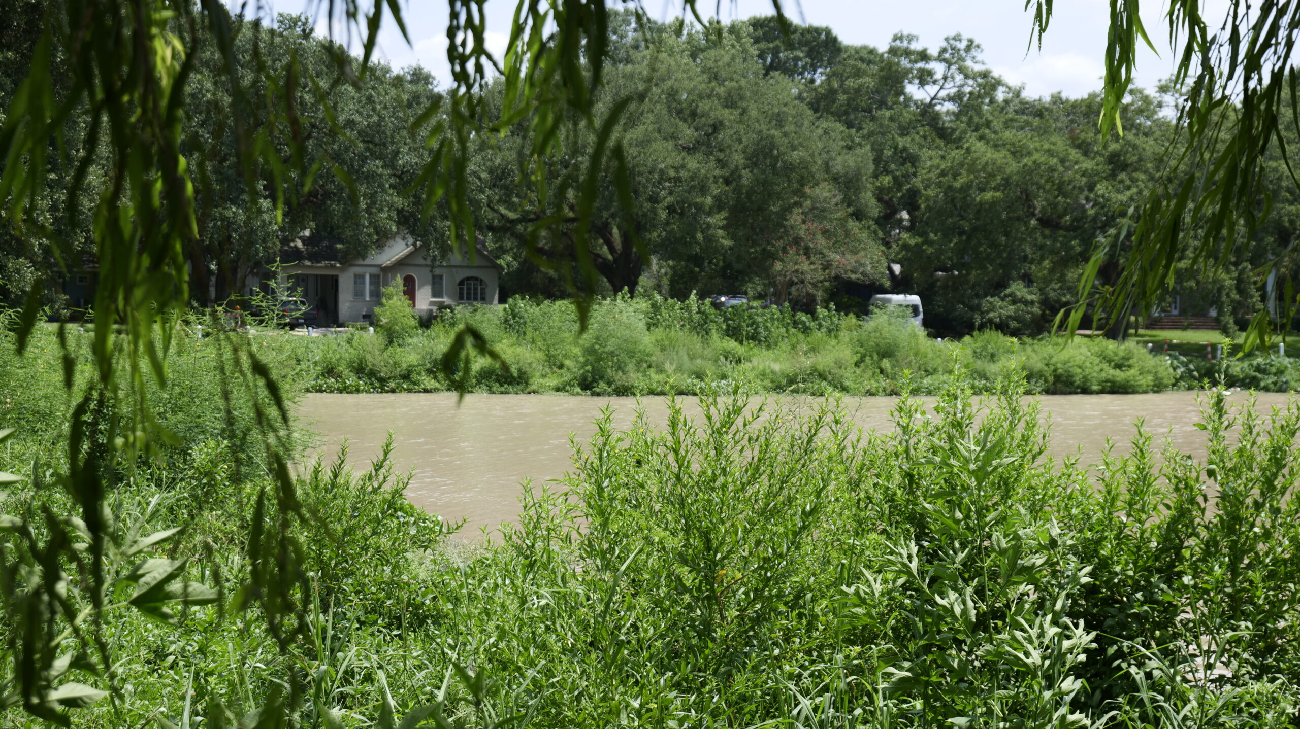 What’s with the overgrown shorelines? Here’s the latest on the ...