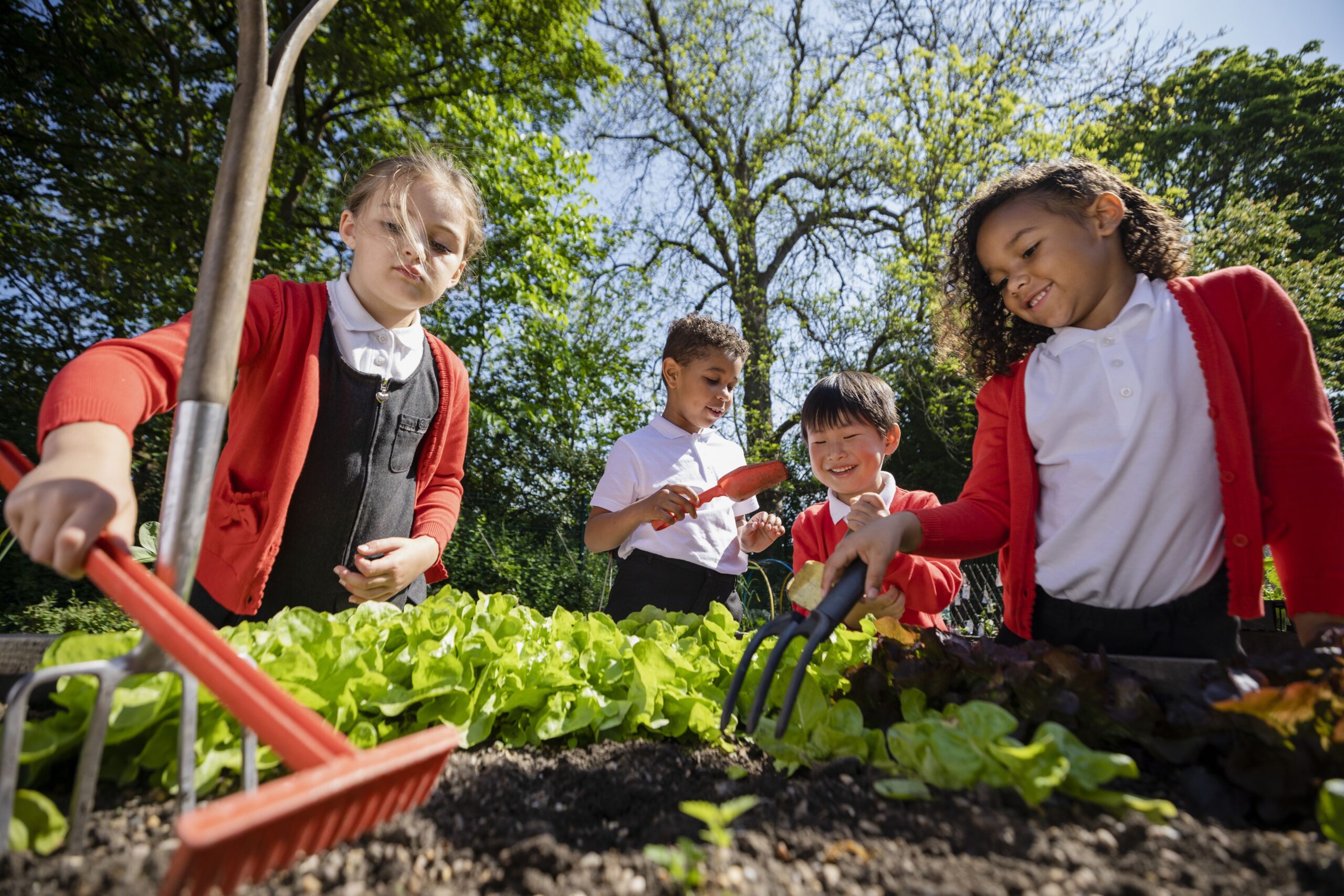 From Research to Reality: Greaux Healthy's Mission to Combat Childhood Obesity