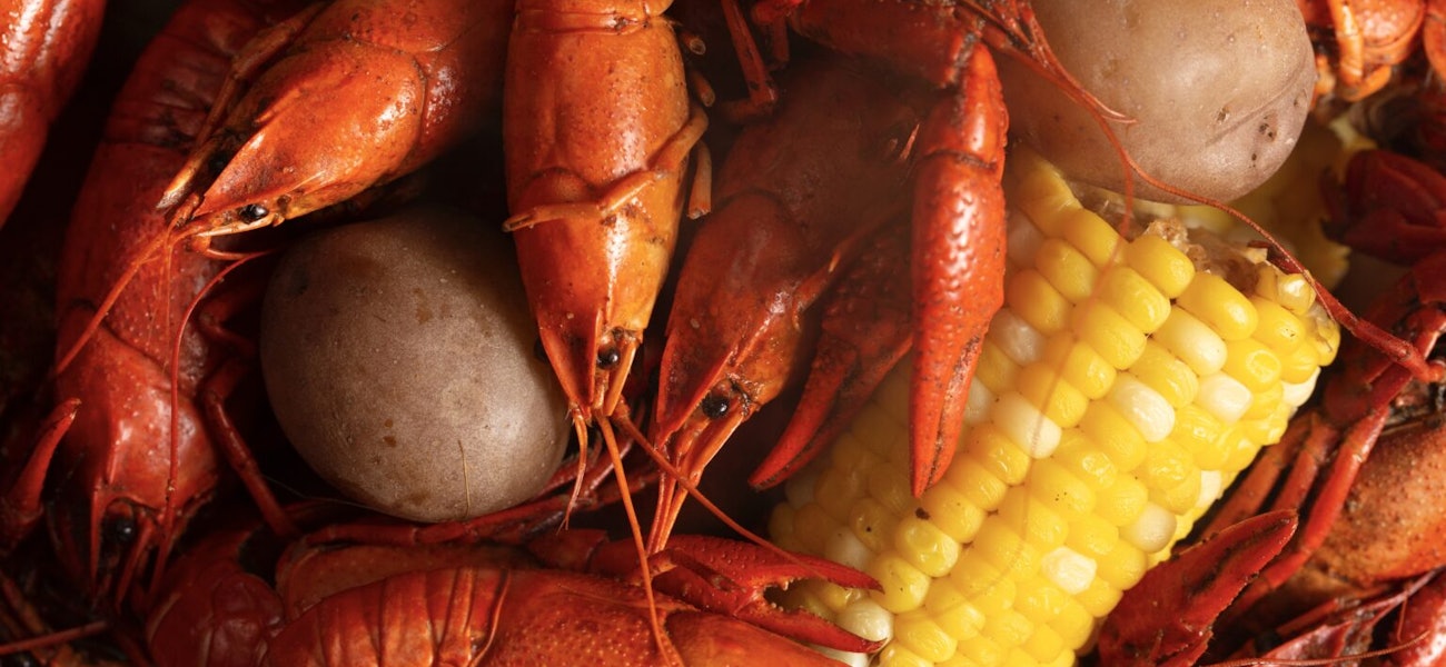 Spring 2025 crawfish outlook: How will last week’s winter storm affect ...