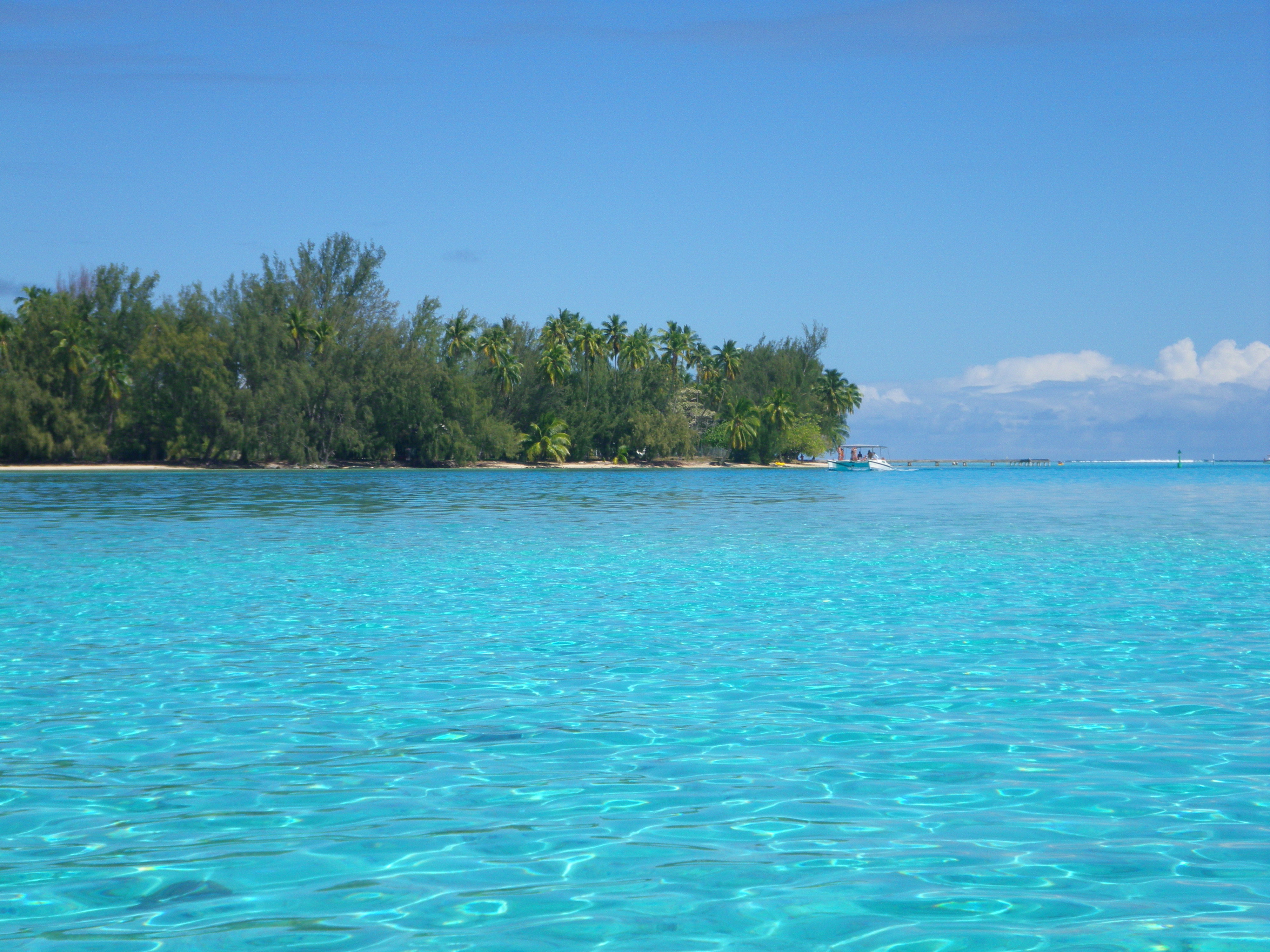 Travel Journal: Moorea and Bora Bora, French Polynesia - inRegister