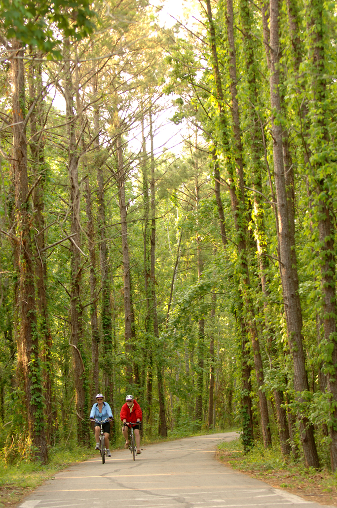 the trail of tammany trace the trail of tammany trace