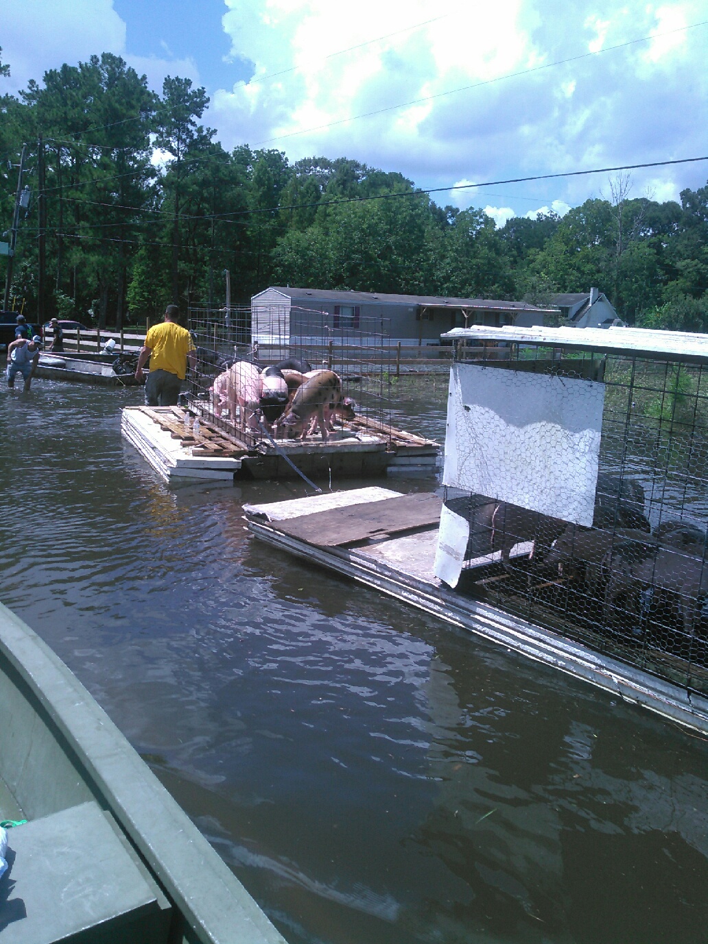 cajun navy zello cajun navy zello