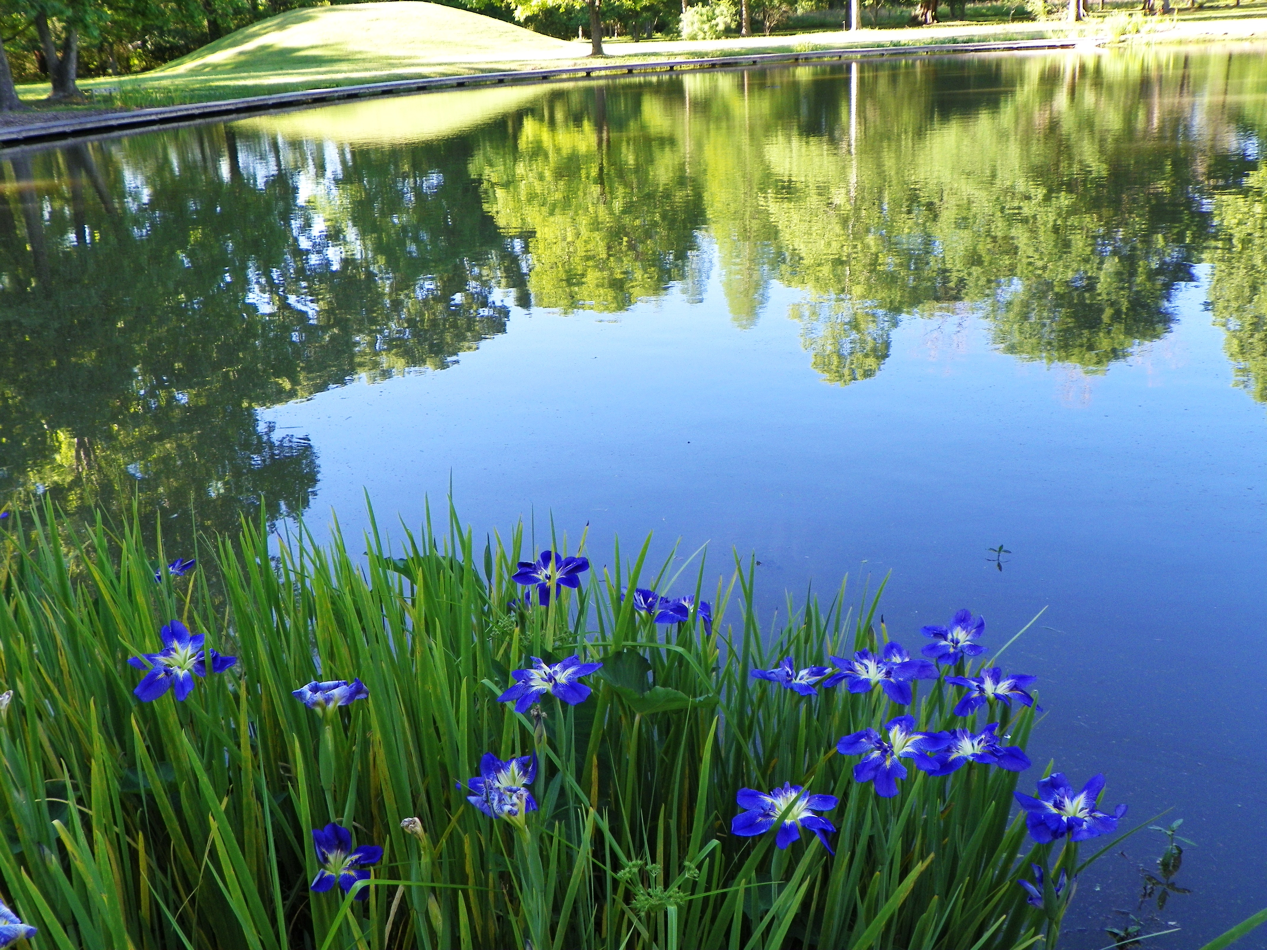 What NOT to do in your spring garden