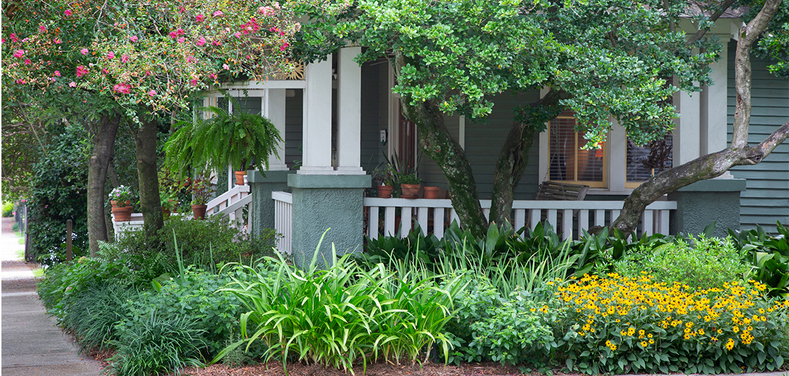 A new leaf Passalong plants make a Beauregard Town garden a testament