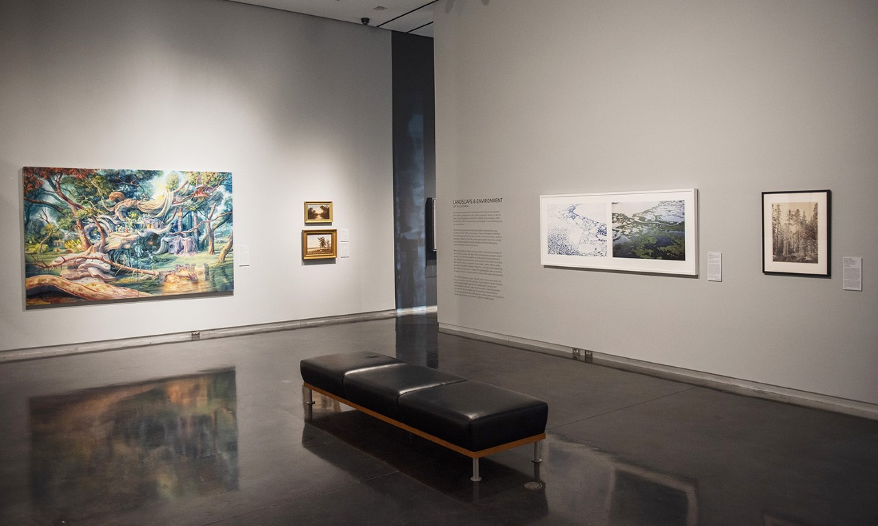 LSU Museum of Art showcases updated landscape gallery